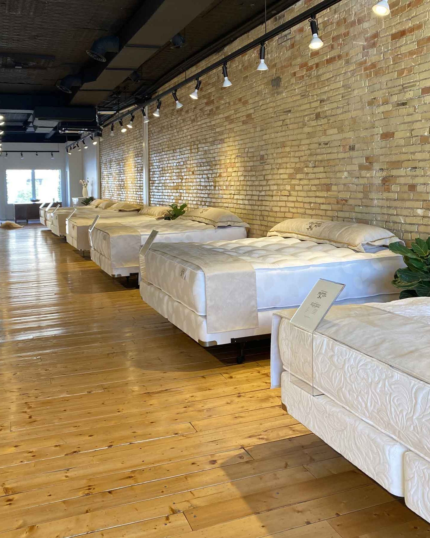Inside of mattress store near you in Traverse City located in old town is Harbor Springs Mattress Companies third retail location.