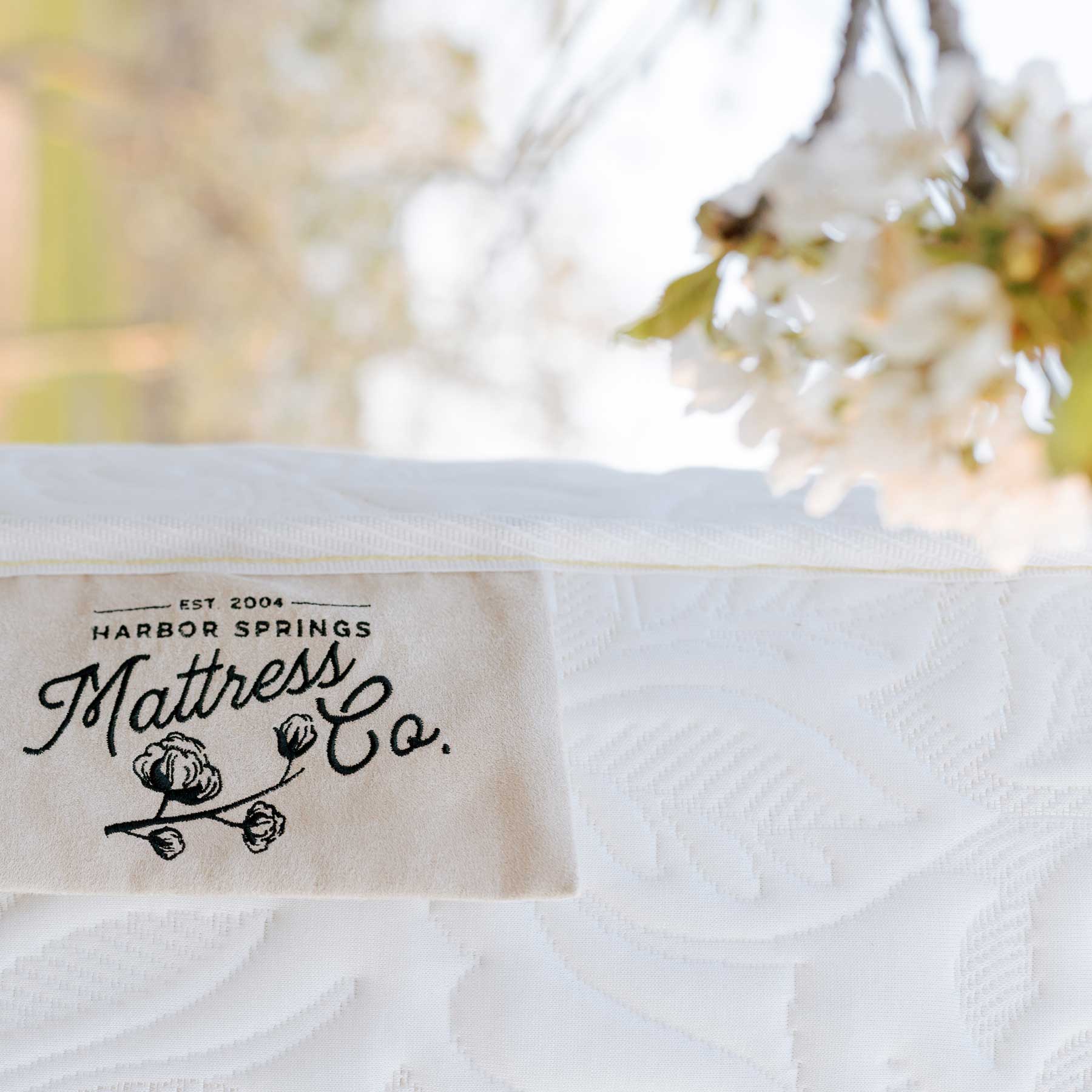 Mattress close up with white cherry blossoms in a Traverse City Cherry Orchard.