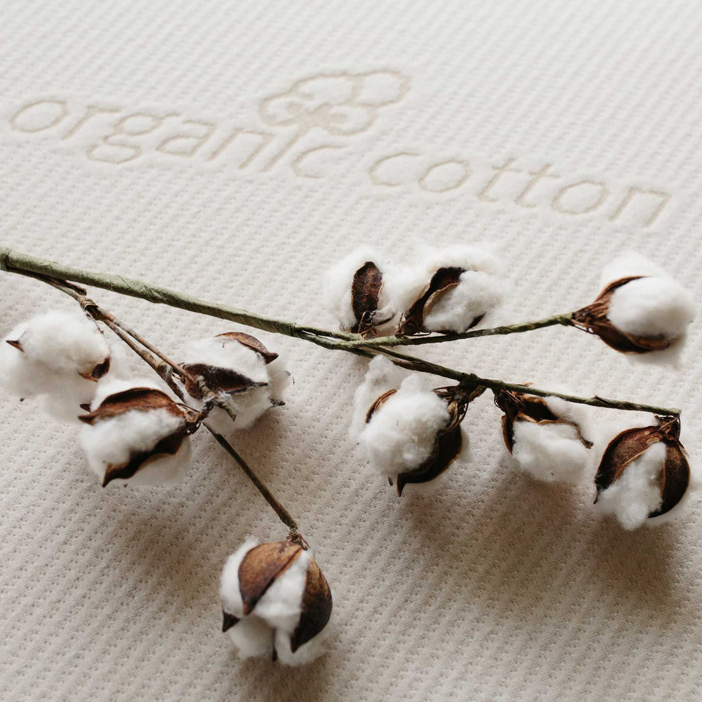 cotton boll laying on top of organic cotton mattress fabric from Harbor Springs Mattress.