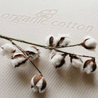 The Cozy - Harbor Springs Mattress Co.