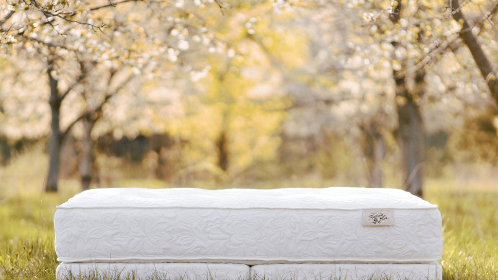 organic mattress in a natural setting in a cherry orchard in Traverse City, Michigan.