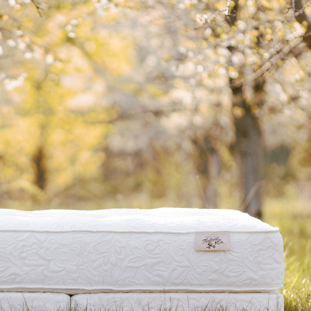 organic mattress in a natural setting on grass in a cherry orchard in Traverse City, Michigan