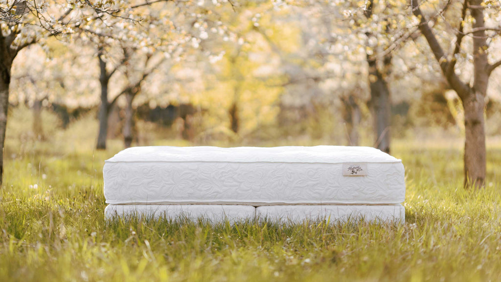 Luxury Bed of Roses Mattress photographed in a Traverse City Cherry Orchard.