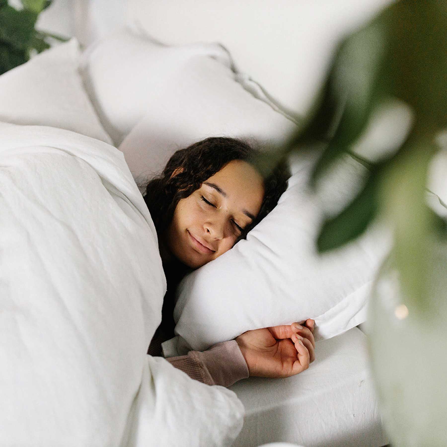 The Moon Beam Mattress - Harbor Springs Mattress Co.
